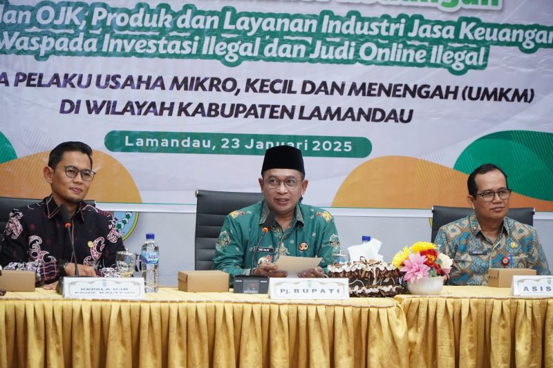 Kegiatan edukasi keuangan bagi pelaku UMKM di Aula Kantor Bupati Lamandau pada 23 Januari 2025. (foto: OJK Kalteng)