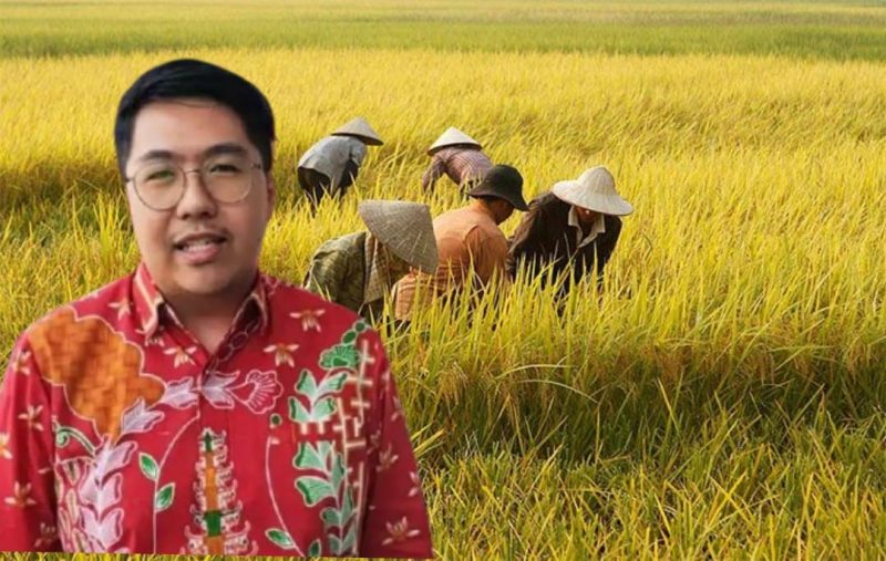Ilustrasi petani sedang panen padi./insert: Anggota DPRD Kota Palangka Raya, Erlan Audri. 